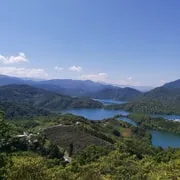 Terraced tea rows above Thousand Island Lake on the Pinglin tea plantation half-day tour from Taipei, Taiwan